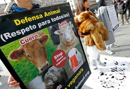 Organizaciones ambientales piden a la UE que mantenga el cuero en Tratado de deforestación