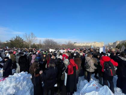 Un escándalo por 15.000 perros sacrificados desvela la crueldad en las perreras en Rumanía