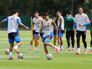 Colombia vuelve a los entrenamientos con Luis Díaz recuperado