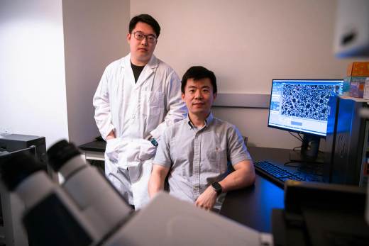 Una nueva terapia de ARN podría ser clave para tratar numerosas enfermedades genéticas