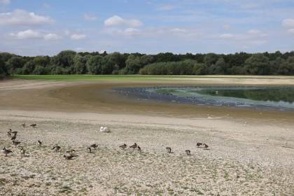 El Reino Unido declara sequía grave en seis zonas del sur de Inglaterra