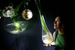 La mexicana Tania Candiani entrelaza ciencia y arte en su exposición en España