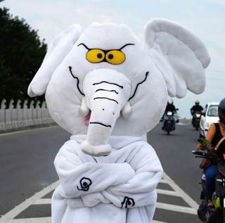 Un "elefante blanco" en lucha contra la corrupción obtiene escaño en el Senado de Colombia