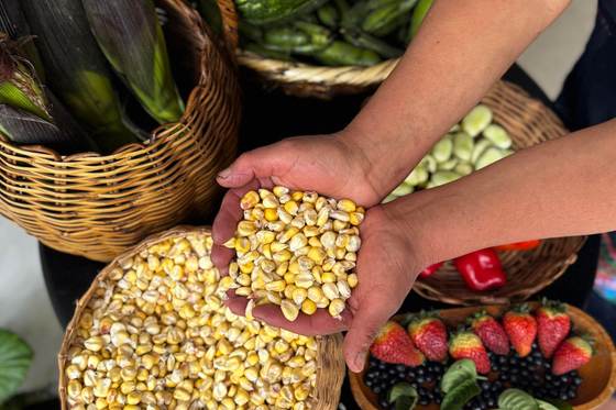 La FAO indica que el precio de los alimentos subió un 2,4 % debido al conflicto en Irán