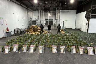 Hallan en República Dominicana cocaína en piñas rumbo a España y con destino a Afganistán