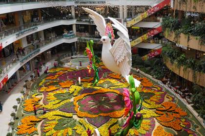 Una paloma gigante adorna a Medellín en el tapete de flores naturales más grande del mundo