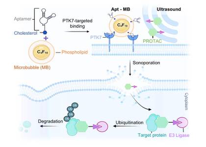 Una nueva técnica se muestra prometedora para administrar algunos fármacos para el cáncer