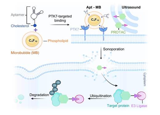 Una nueva técnica se muestra prometedora para administrar algunos fármacos para el cáncer
