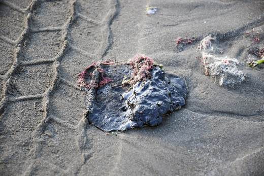 Pemex activa operativo en Veracruz por residuos de aceite en zona afectada por derrame