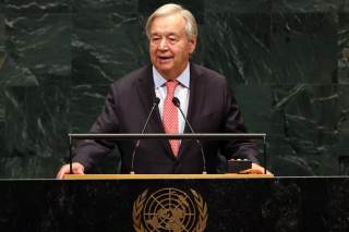 Guterres cree que aún es posible "revertir la pérdida de biodiversidad"