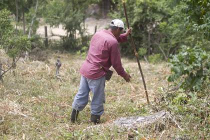 Honduras declara alerta roja en 75 municipios por sequía asociada al fenómeno de El Niño