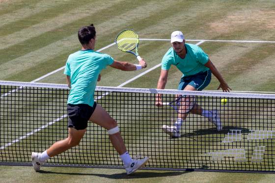 Davidovich elimina a Dimitrov en el ATP Mallorca Championships y jugará las semifinales