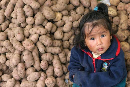 Los descendientes de indígenas peruanos tienen ventaja genética para asimilar la patata