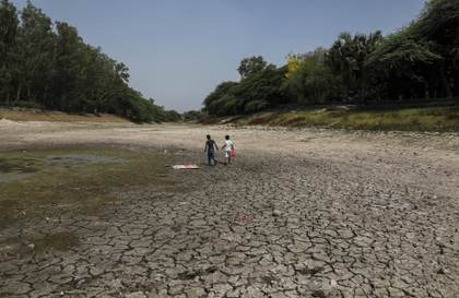 El calor extremo y la contaminación dejan cientos de peces muertos en un lago de la India