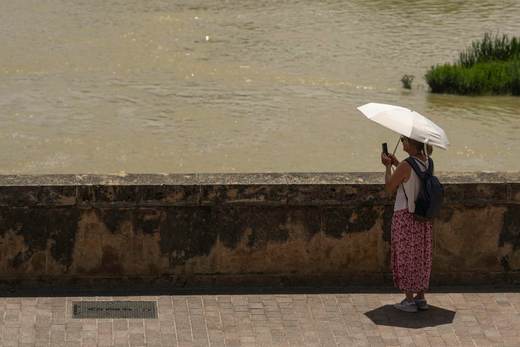 El estrés térmico se intensifica en todo el mundo