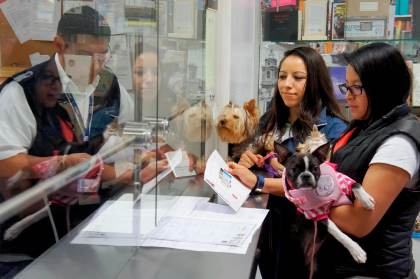 México exige inspección de perros y aves que entren de EEUU por casos de gusano barrenador