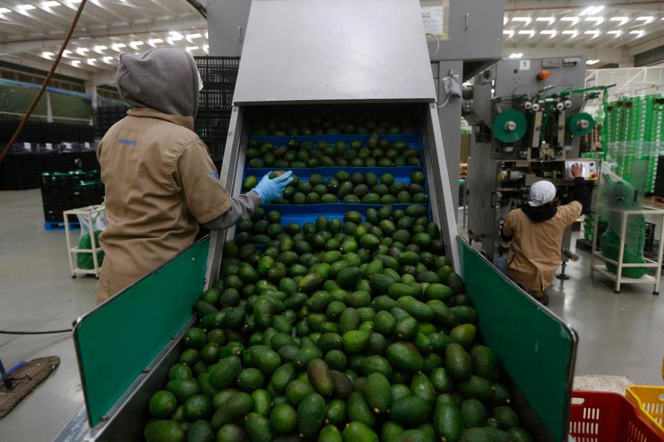 La actividad económica de México se eleva un 2,3 % interanual en abril