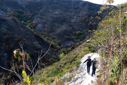 Extinguido el incendio forestal que ha arrasado 3.000 hectáreas en el norte de Colombia