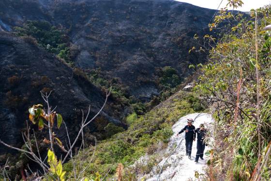 Extinguido el incendio forestal que ha arrasado 3.000 hectáreas en el norte de Colombia