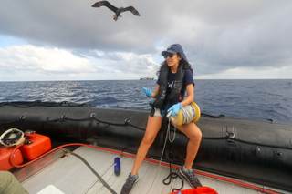 Una ecuatoriana premiada en Londres por su labor en la protección de aves en las Galápagos