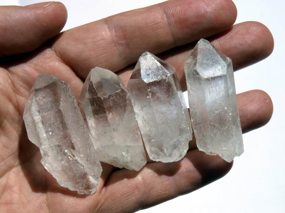 La atracción de los homininos por los cristales, a estudio con chimpancés