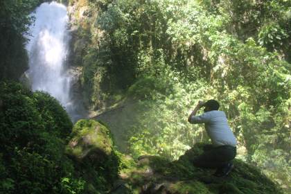 Perú perdió 3,7 millones de hectáreas de vegetación natural desde 1985, señala MapBiomas