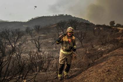 El Seprona, el fotoperiodista Pedro Armestre y Gempa, premios Biodiversidad Fundación BBVA