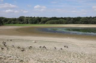 El Reino Unido declara sequía grave en seis zonas del sur de Inglaterra