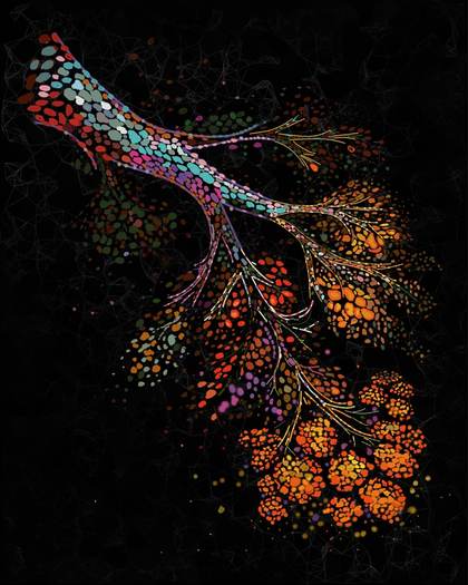 Desvelan por qué el riesgo de cáncer de mama aumenta tras la menopausia