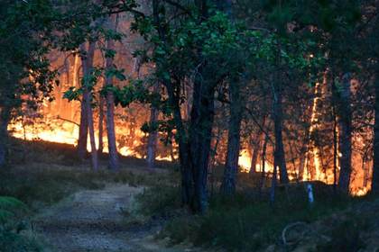 Unas 1.300 hectáreas quemadas en Fontainebleau a la espera de que el calor ceda en Francia