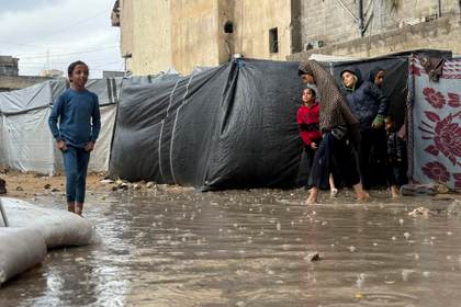 Un 80 % de los refugios de desplazados en Gaza están infestados de plagas, alerta la OMS