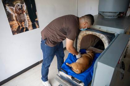 Nicaragua abre el primer crematorio para dar el último adiós a las mascotas