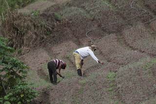 Ley agroindustrial en Honduras aviva temores por conflictos agrarios y control de tierras