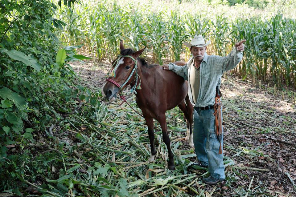 El lamento de los agricultores salvadoreños debido a las pérdidas por la sequía de El Niño