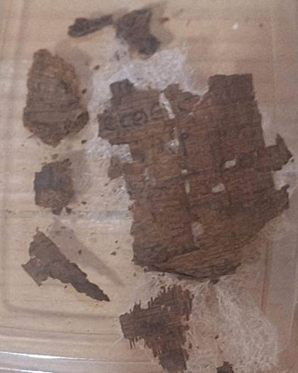 Un equipo de arqueólogos españoles identifica un papiro de la Ilíada en una tumba egipcia