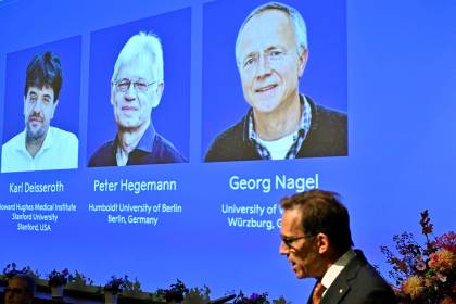 El Premio Nobel de Medicina premia a los fundadores de una nueva era en la neurociencia