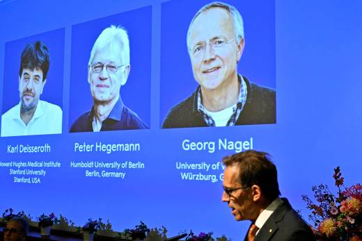 El Premio Nobel de Medicina para Deisseroth, Hegemann y Nagel por sus descubrimientos en optogenética