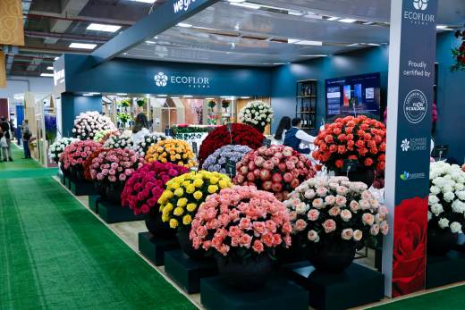 Ecuador exhibe su producción de flores ante 2.500 visitantes en la mayor feria del país