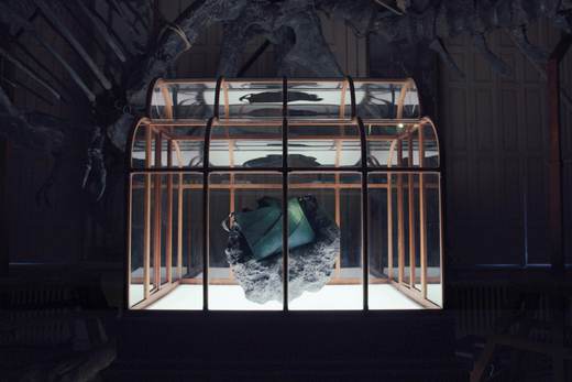 Crean un bolso de lujo con proteína reconstruida de T-Rex