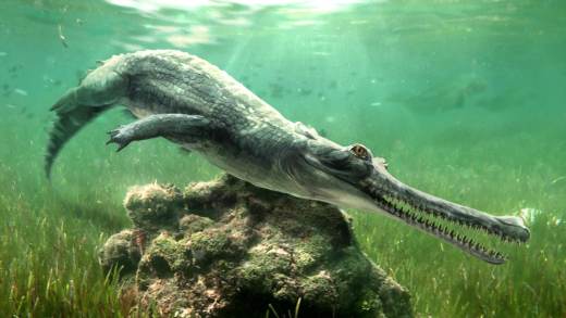 Descubren una nueva especie de cocodrilo entre las rocas de la Gran Esfinge de Egipto