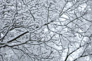 Elevan a nivel naranja la alerta en Moscú ante el mal tiempo y las intensas nevadas