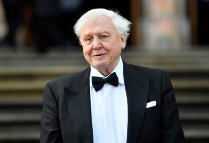 David Attenborough, el gran divulgador de la naturaleza, cumple este viernes 100 años