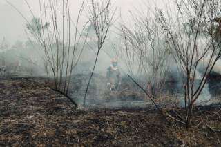 Los incendios en la Amazonía brasileña se disparan un 74,2 % en septiembre