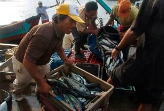 La pesca y la acuicultura en Perú son declaradas en emergencia por el fenómeno de El Niño