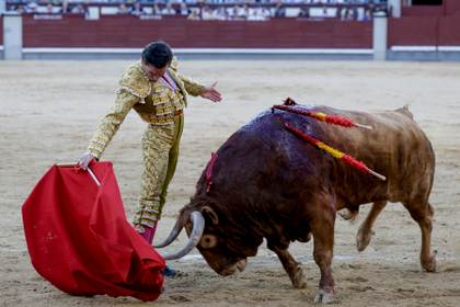 Otra tarde espesa y opaca entre un vacío de casta y de resultados en Madrid