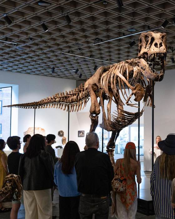 Un esqueleto de T. Rex se vende por un récord de 50,1 millones en subasta en Nueva York
