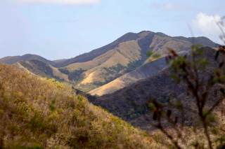Los agricultores y ganaderos de Puerto Rico hacen malabares con el agua ante la sequía