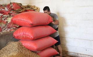 Productores alertan por crisis en campo mexicano ante la revisión anual del T-MEC