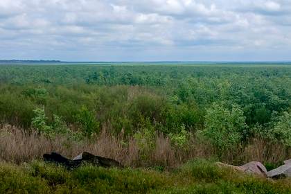 Tres años después del desastre de Kajovka, la naturaleza recupera el embalse ucraniano