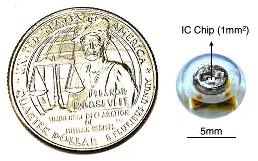 Diseñan una mini cápsula ingerible que mide la temperatura en tiempo real